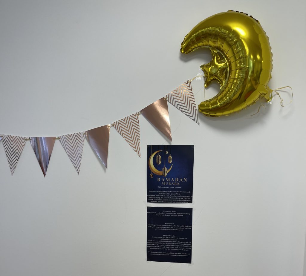 IMG 2414 e1771935596995 IMG 2414 e1771935596995